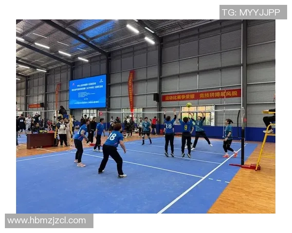 深圳排球队的奋斗与荣耀：一段排球精神的真实纪实之旅