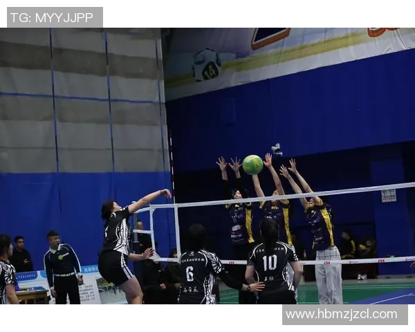 排球热点：解读杭州排球队的快攻