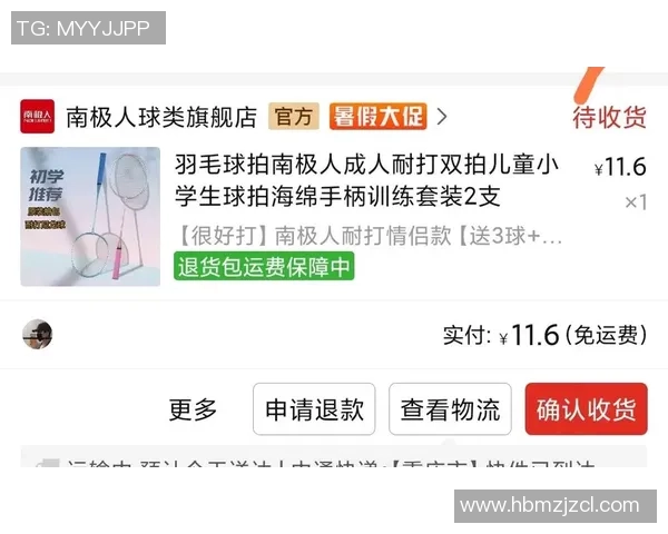 羽毛球新手攻略：技术入门指南