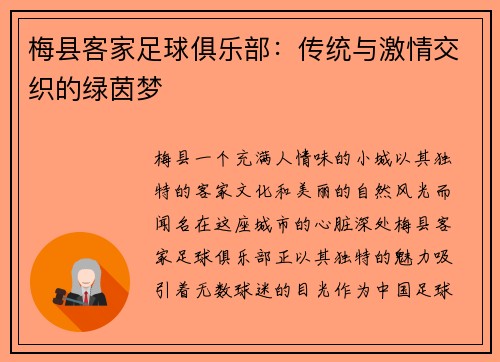 梅县客家足球俱乐部：传统与激情交织的绿茵梦